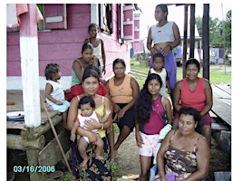 Imagen principal de Kinship shifts from matrilaterality to patrilaterality in a Miskitu village