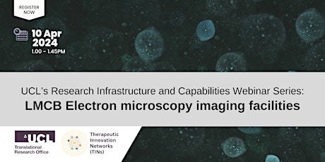 Webinar: LMCB electron microscopy imaging facilities