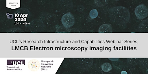 Webinar: LMCB electron microscopy imaging facilities primary image