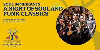 Soul Immigrants – A Night Of Soul and Funk Classics primary image