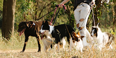 Community Dog Walk