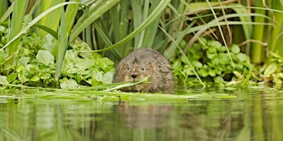 Imagen principal de Guided walk along the river Esk with the Forth Rivers Trust