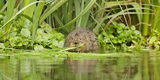 Guided walk along the river Esk with the Forth Rivers Trust  primärbild