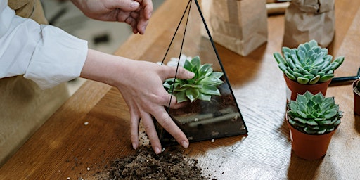 DIY Terrarium Workshop primary image