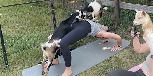 Primaire afbeelding van Goat Yoga