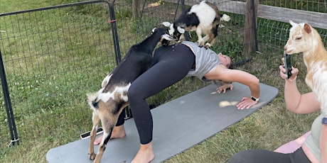 Goat Yoga