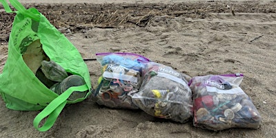 Immagine principale di Celebrate Earth Day - help pick-up litter and hike! 