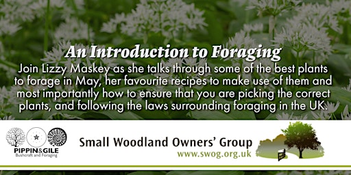 Imagem principal de An Introduction to Foraging