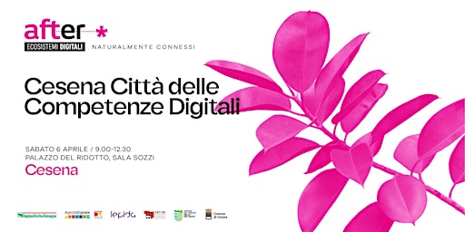 Cesena Città delle Competenze Digitali primary image