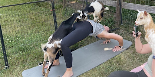 Imagem principal de Goat Yoga