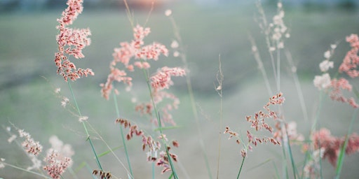 Hauptbild für Group Breathwork Class