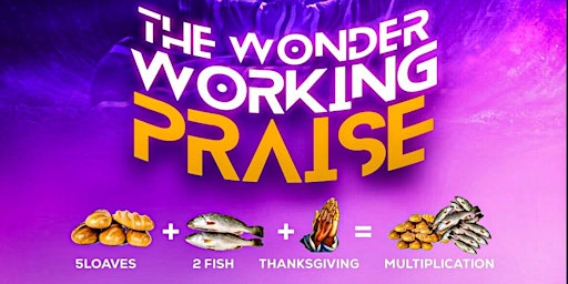 The Wonder Working Praise primary image