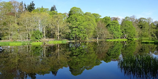 Wellbeing Walk at the Loch of Fyvie  primärbild