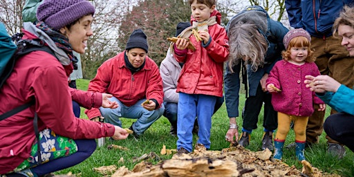 Imagem principal do evento A Walk Under The Trees - Explore Springfield Park with Poppy Flint