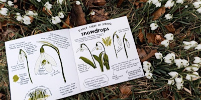 Primaire afbeelding van An Introduction to Nature Journaling: Raincliffe Wood