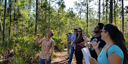 Hauptbild für Florida Forests  Hike