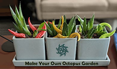 Make Your Own Octopus Garden