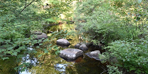 Hauptbild für Ecospiritual Immersion