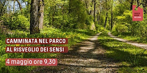 Imagen principal de Camminata nel Parco al risveglio dei sensi