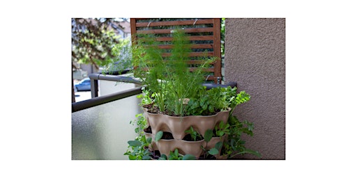 Imagen principal de Introduction to Container Gardening for Small Spaces Part 2