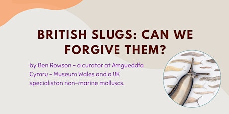 British Slugs- Can we forgive them?