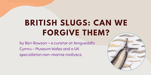 Hauptbild für British Slugs- Can we forgive them?