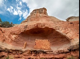 Immagine principale di Native Plant Walk at Lower Sand Canyon 