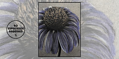 Primaire afbeelding van Charcoal Drawing Event "Cone Flower" in Marshfield