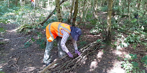 Immagine principale di Soar Natural Flood Management Volunteering at Beacon Hill Country Park 