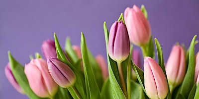 Teapots and Tulips at Hilltop Blooms Farm primary image