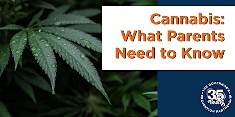 Cannabis: What Parents Need to Know