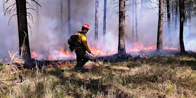 Primaire afbeelding van Learn and Burn