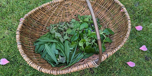 Hauptbild für Round Table: Food as Medicine