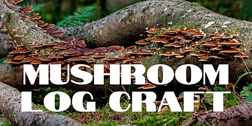 Imagem principal do evento Mushroom Log Craft