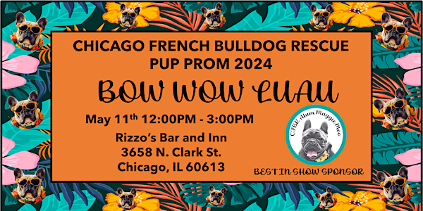 Chicago French Bulldog Rescue Pup Prom 2024 BOW WOW LUAU