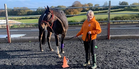 Horsemanship Clinic - Empowering Your Horse & Nurturing Wellbeing