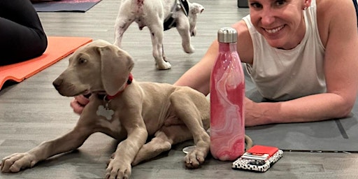 Puppy Yoga primary image