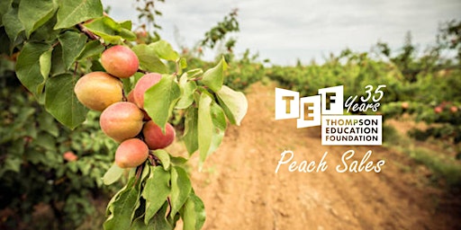 Immagine principale di 2024 TEF Peach Sales 