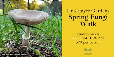 Hauptbild für Spring Fungi Walk - May 5