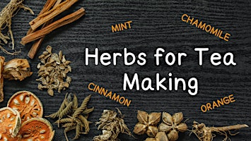Herbs for Tea Making - Nature Exploration primary image