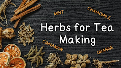 Herbs for Tea Making - Nature Exploration