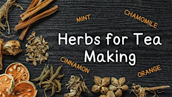 Image principale de Herbs for Tea Making - Nature Exploration