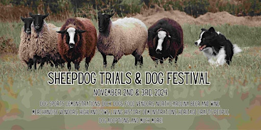Primaire afbeelding van Sheepdog Trials and Dog Festival 2024
