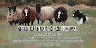 Sheepdog Trials and Dog Festival 2024 primary image