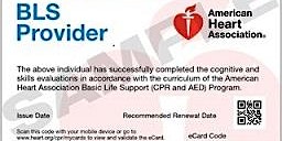 Imagen principal de BLS eCards - LHN CPR Instructors only