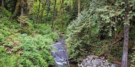 VIBC Weekender to Cowichan River