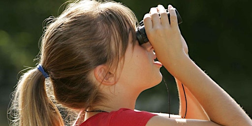 Primaire afbeelding van Intro to Birding with Detroit Bird Alliance