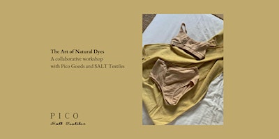 Imagem principal de The Art of Natural Dyes with SALT Textiles and Pico Goods