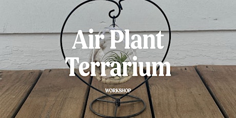 Air Plant Terrarium Workshop primary image