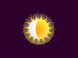 Imagem principal do evento ✨ Solar Eclipse Watch Party ✨